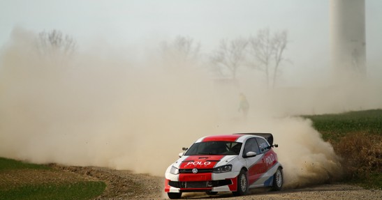 Testy Polo Proto